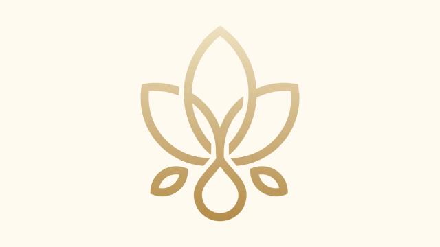 Privé wellness in Haarlem