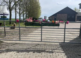 Het Goede Leven in Eemdijk — foto 20