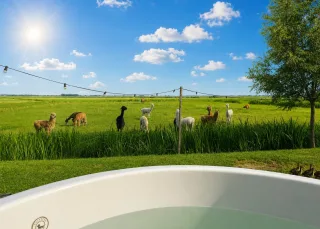 Het Goede Leven in Eemdijk — foto 7